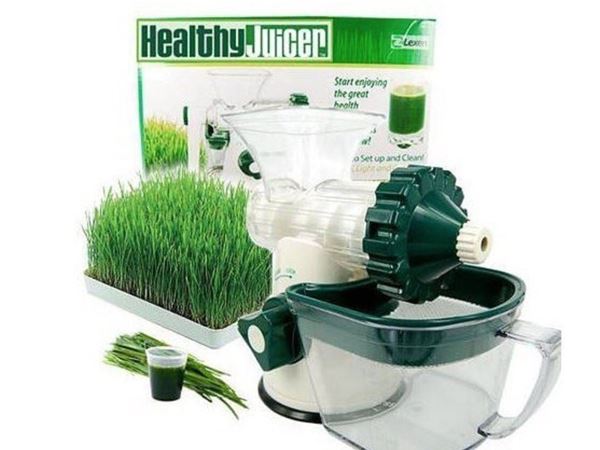 Imagen de JUGUERA WHEATGRASS