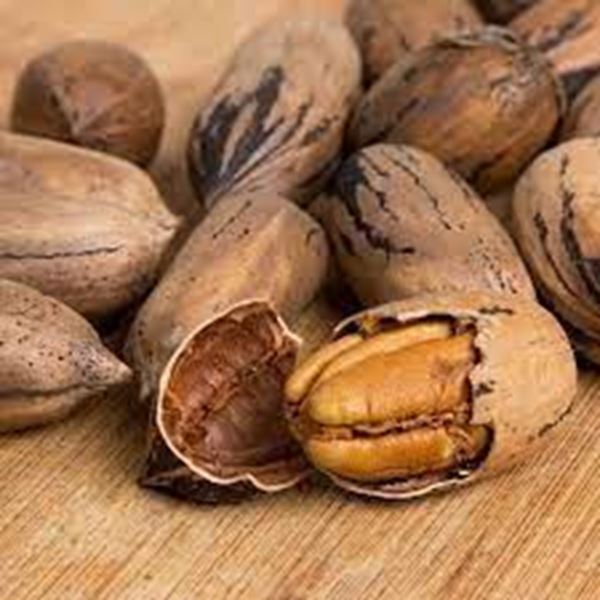 Imagen de NUECES PECAN CON CASCARA ORGANICAS 250GR