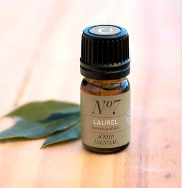 Imagen de ACEITE ESENCIAL LAUREL 5 ml - LA COLORADA