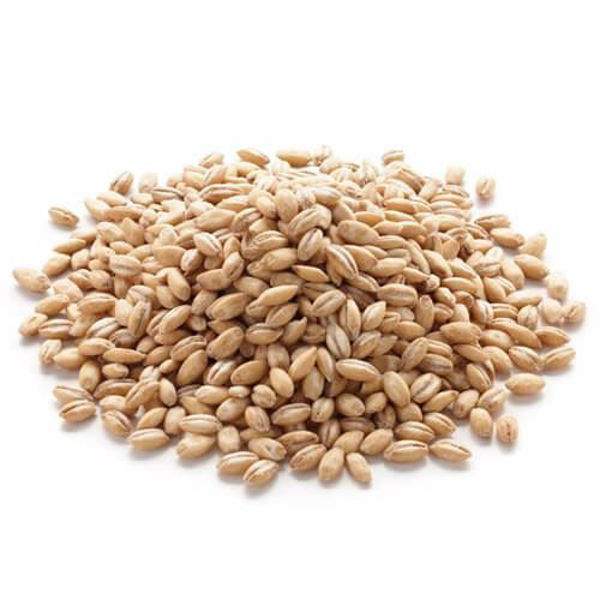 Imagen de CEBADA PELADA 400GR